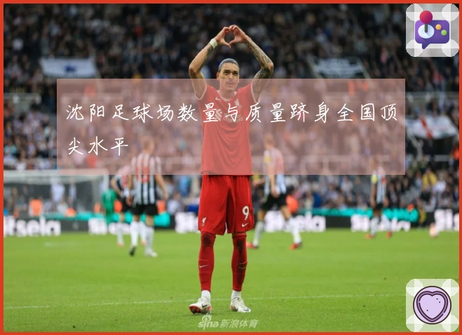 沈阳足球场数量与质量跻身全国顶尖水平